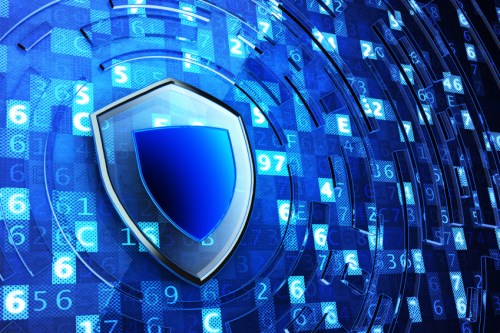 Does the Government need to step in on cyber?